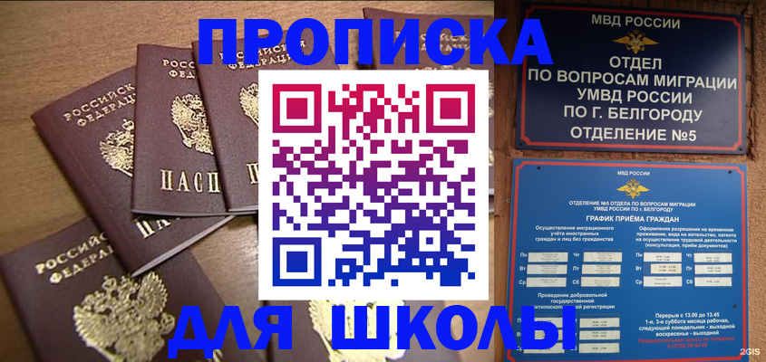 прописка гарантия в Щёкино